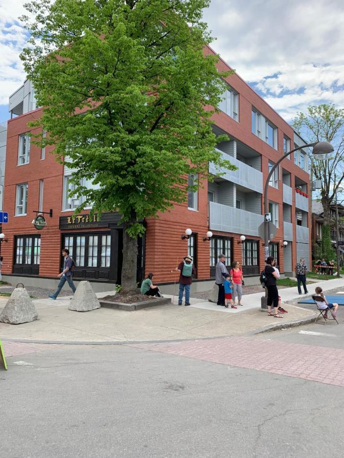 Le Studio Picasso "Parking Inclus" Quebec Exteriér fotografie